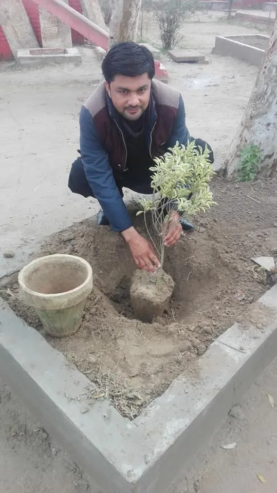 Green Seekers Activity